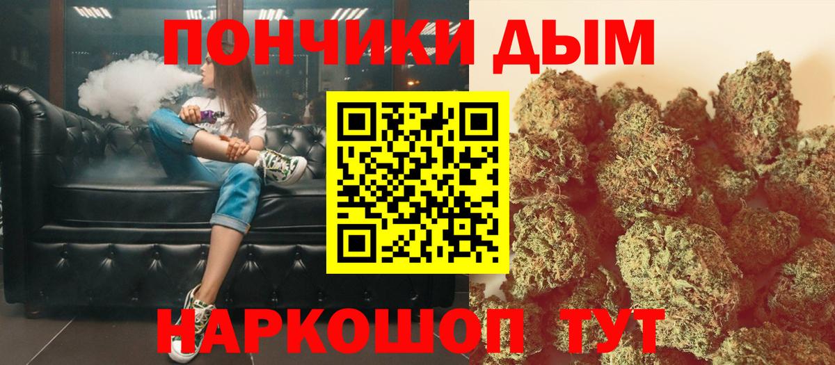 Бошки Шишки марихуана Михайловск